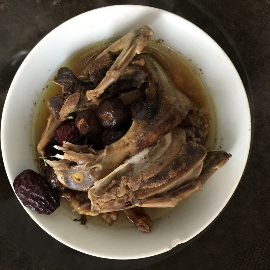 清蒸鸽子
