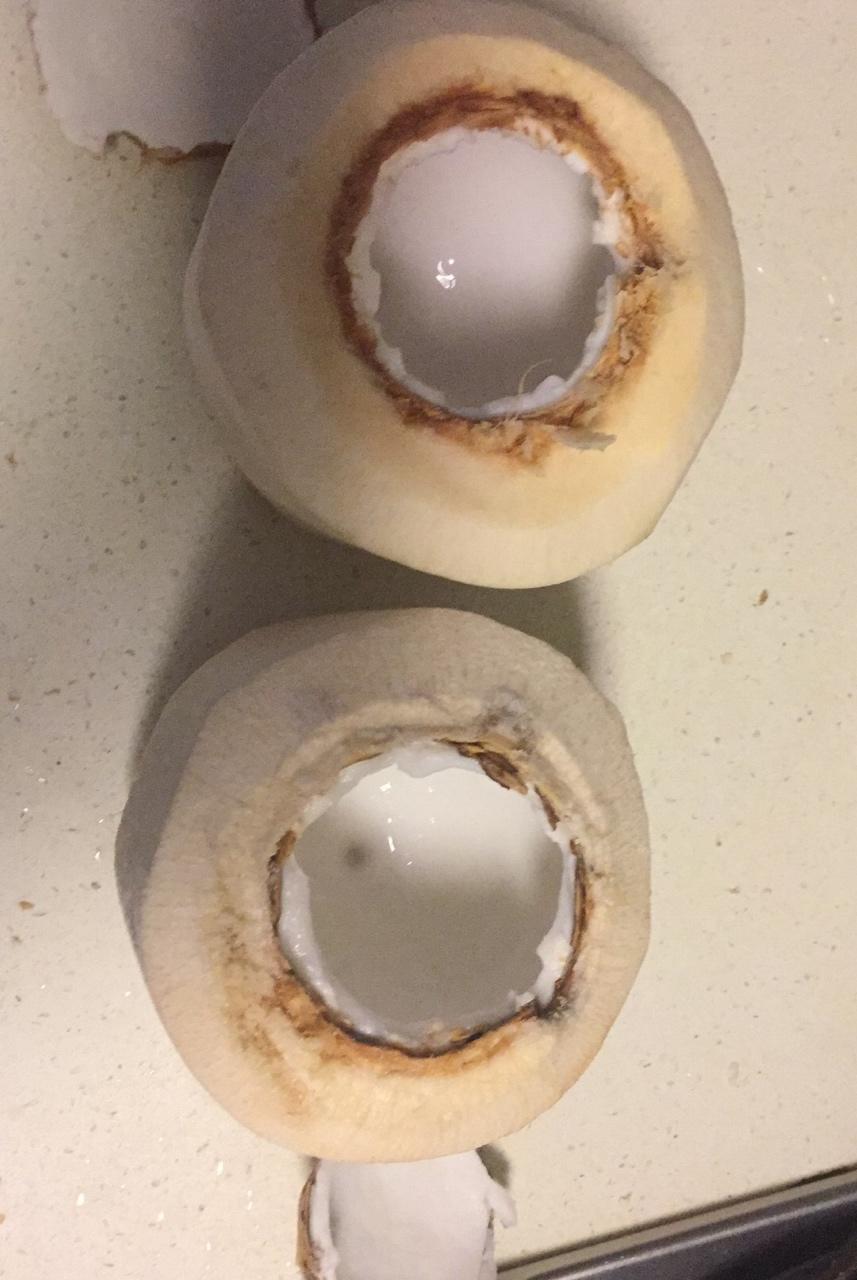 QQ弹弹椰子冻「厨娘物语」