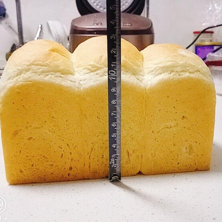 吐司成长记录