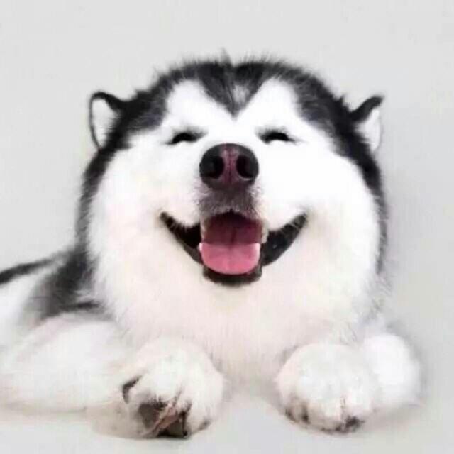 萌萌梦哒嘛