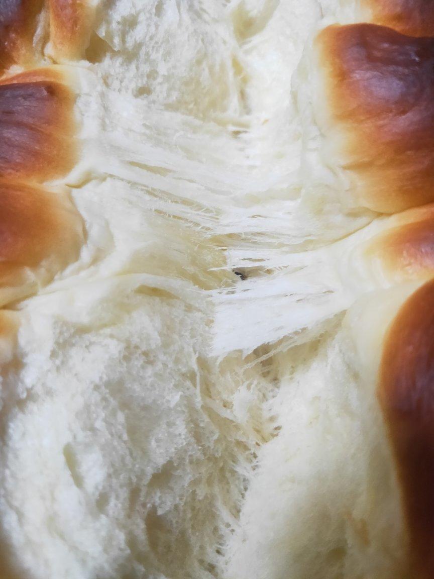 【爱和自由】老面包