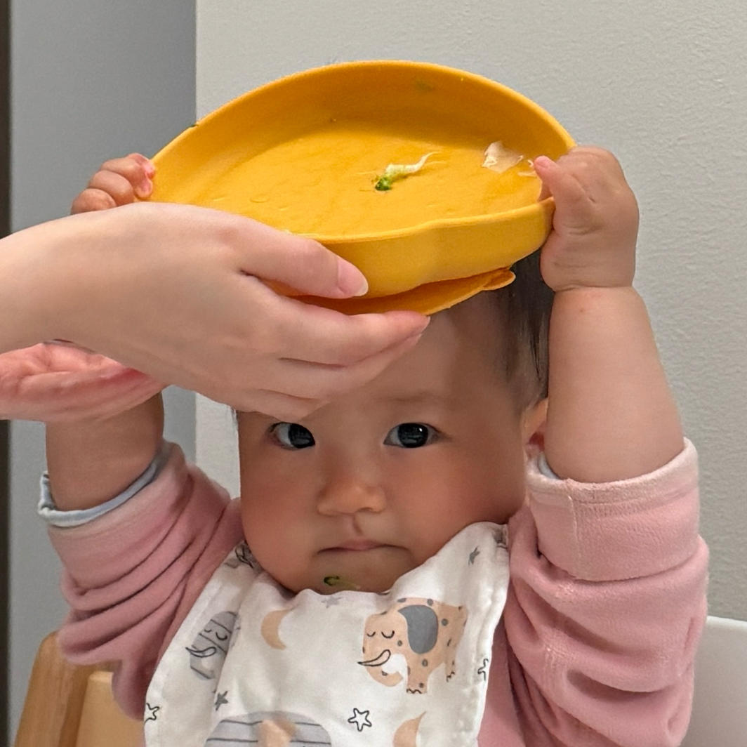 阿力之家今天吃什么