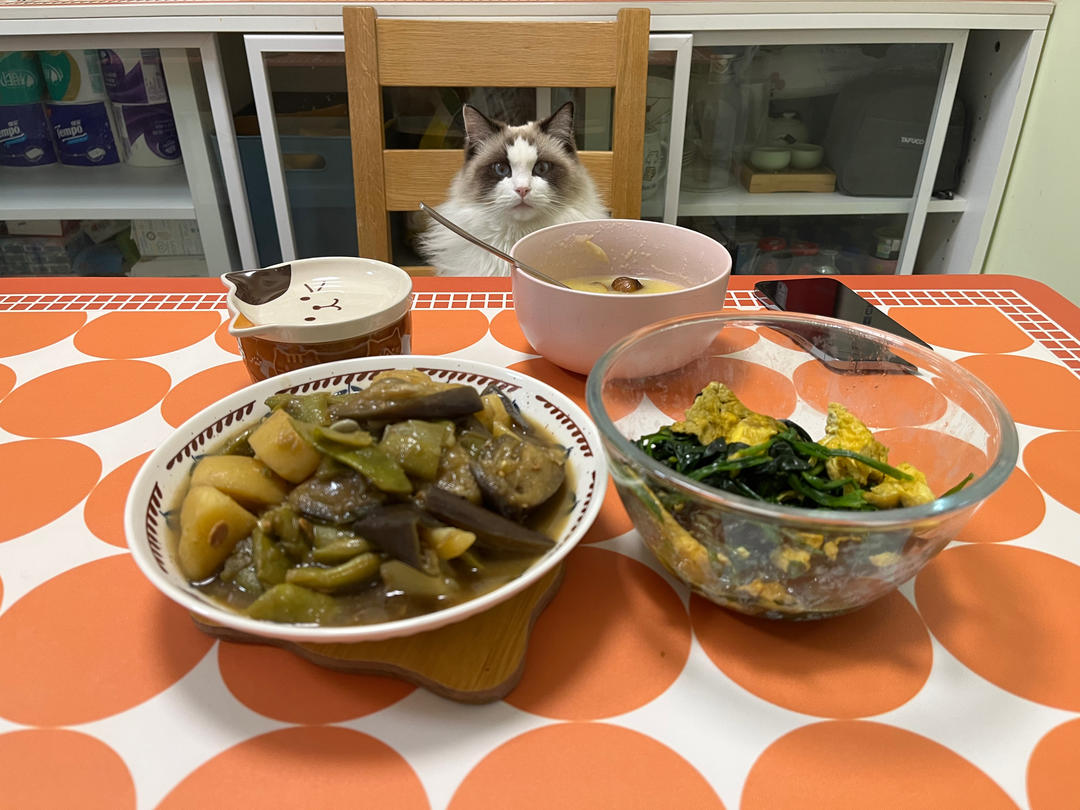 油豆角炖土豆（纯素）