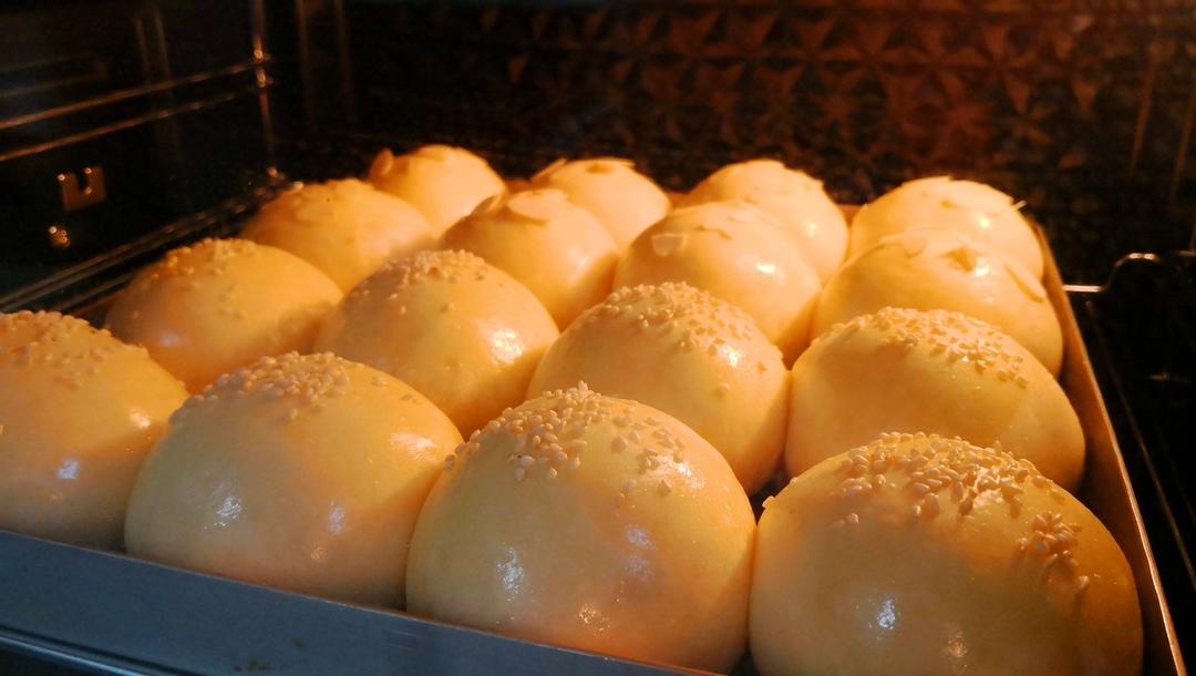 鲜奶油小餐包（一次发酵）