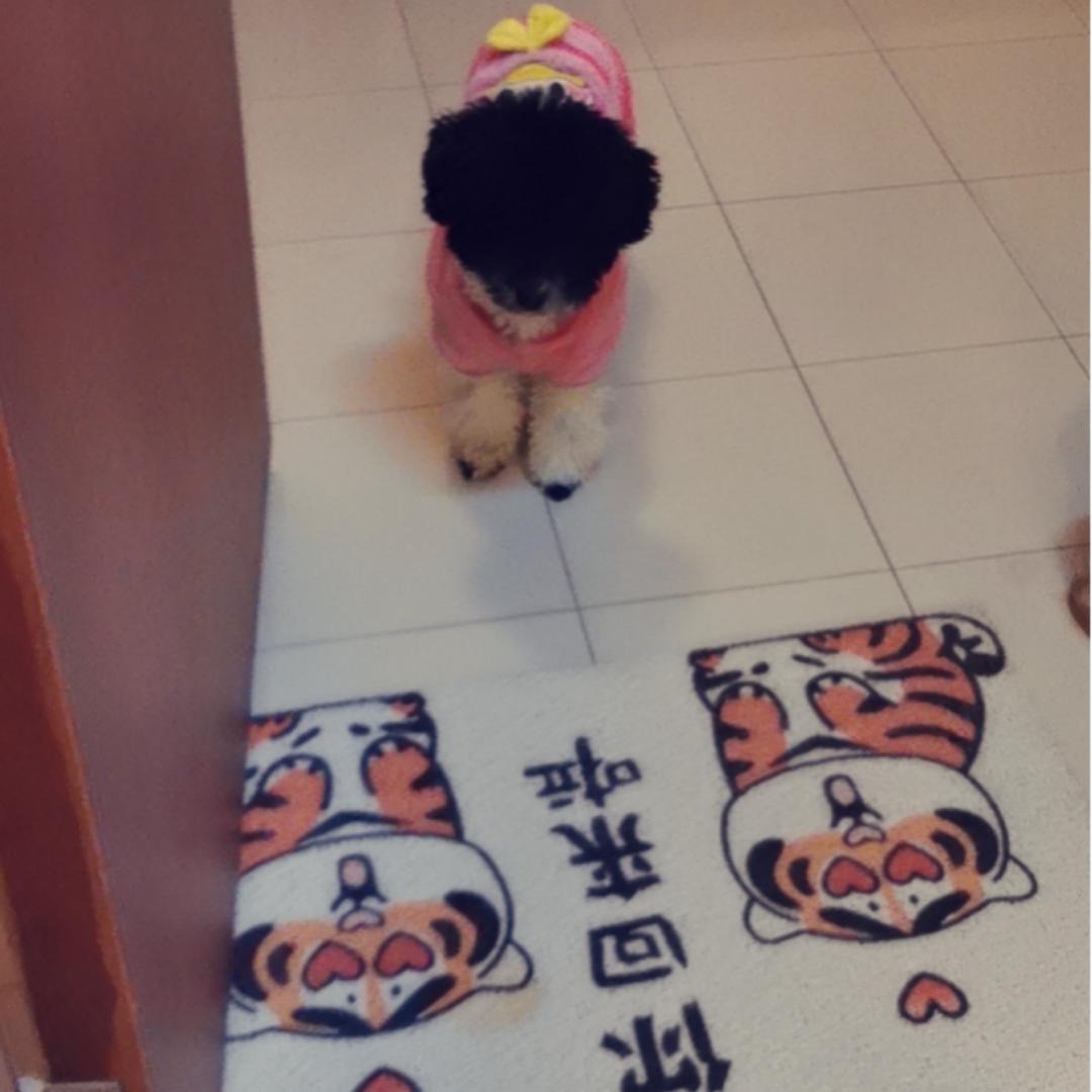 下厨房用户_q619a