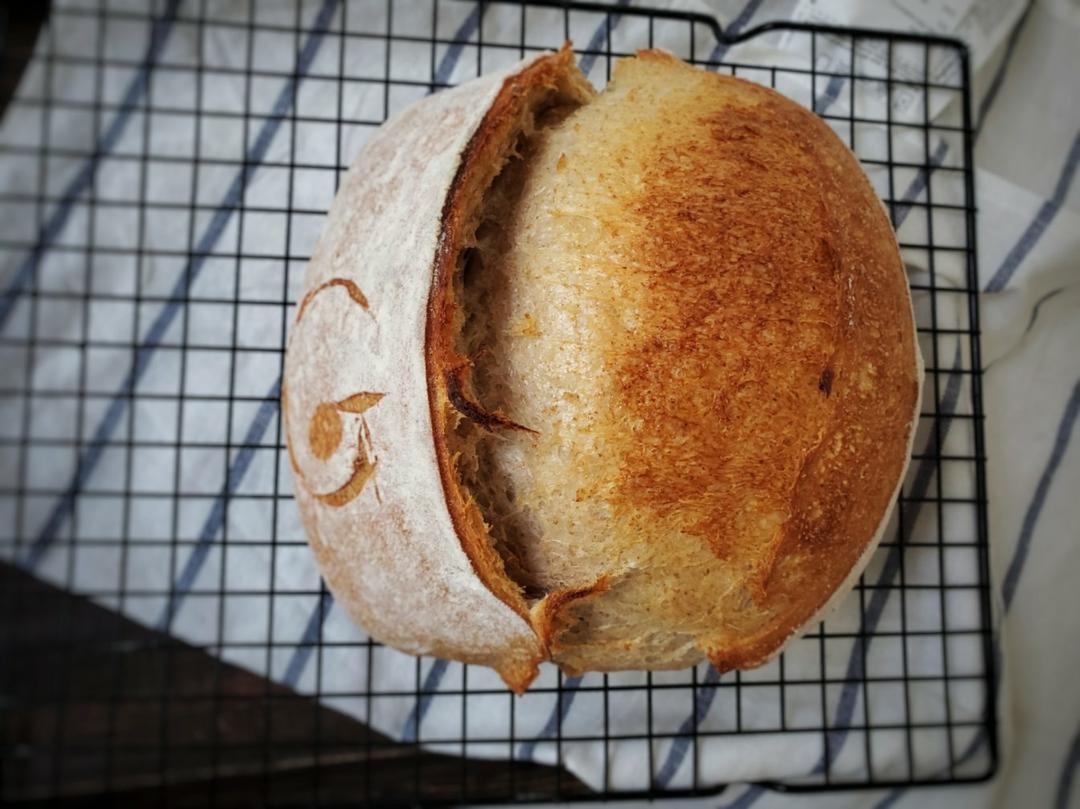 【硬欧笔记】GirlMeetsBread「Sourdough Notebook」