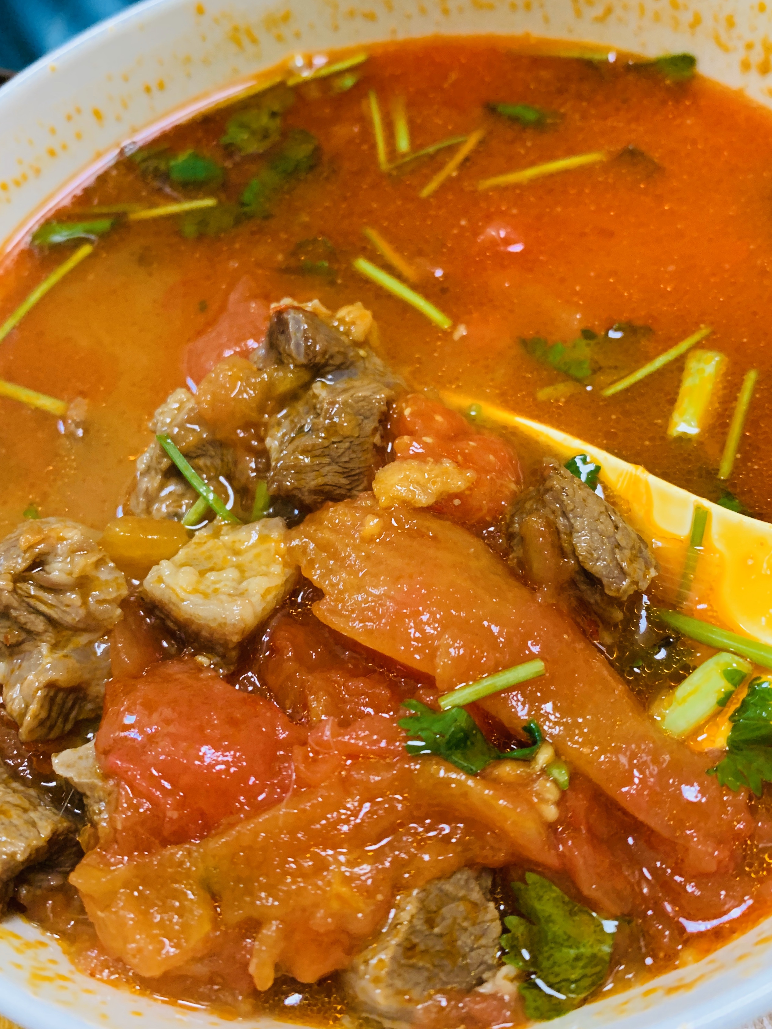 泡汤能吃三碗饭的-番茄炖牛肉的做法