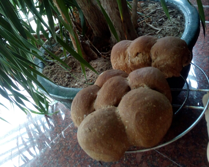 纯素食·超柔软拉丝咖啡面包（汤种，天然酵种冷藏发酵）的做法