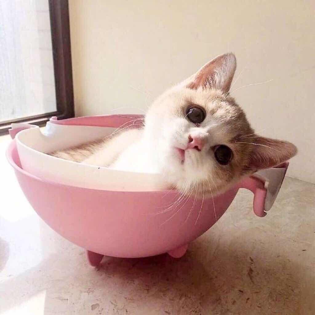 十三__