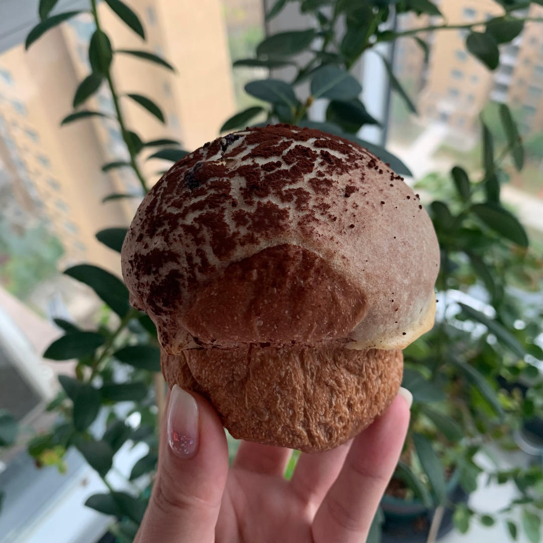 奥利奥乳酪小蘑菇