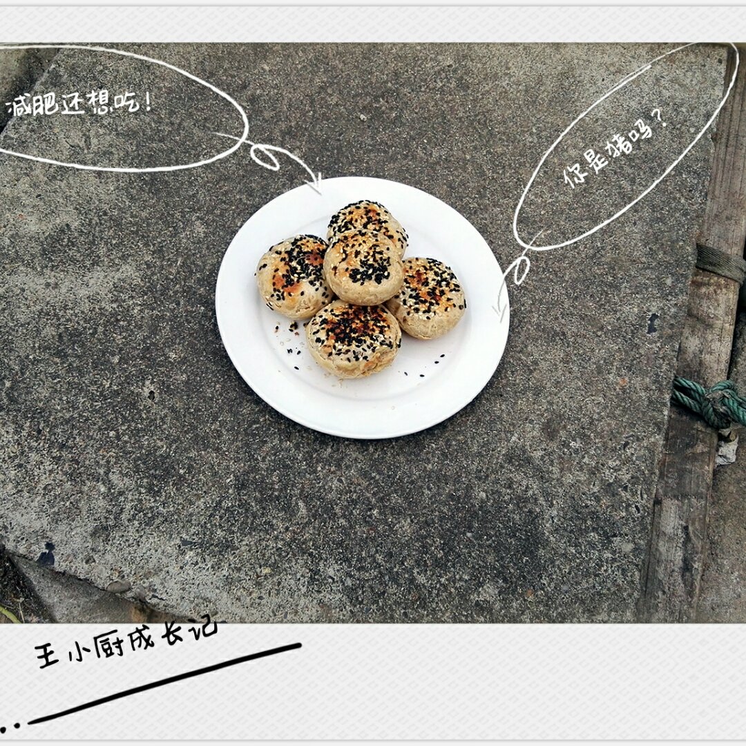 胡思乱想~肉松椒盐月饼或烧饼