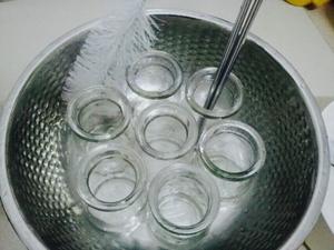 自制酸奶（泡沫箱/电饭锅/烤箱/面包机版）的做法 步骤2