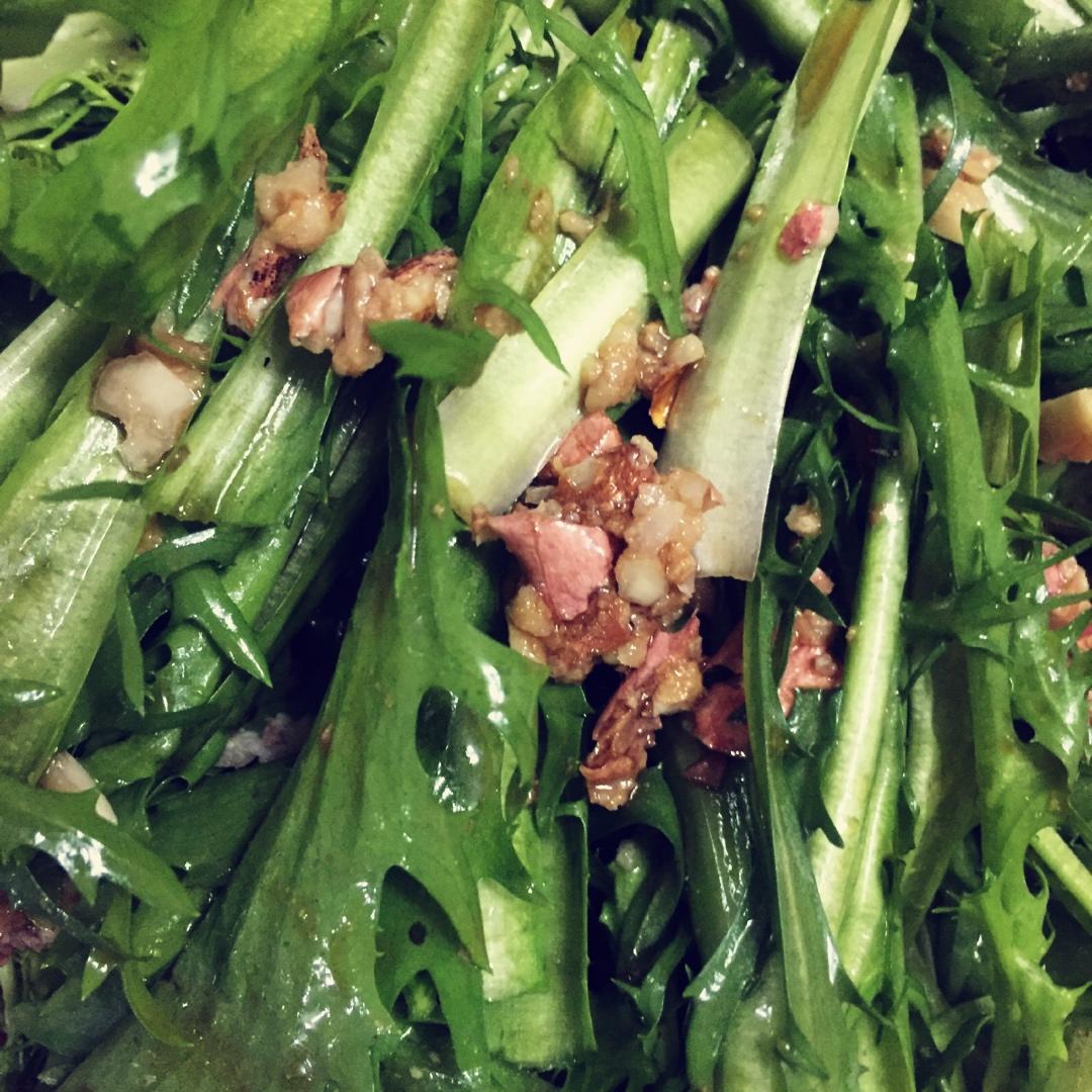 凉拌苦菊