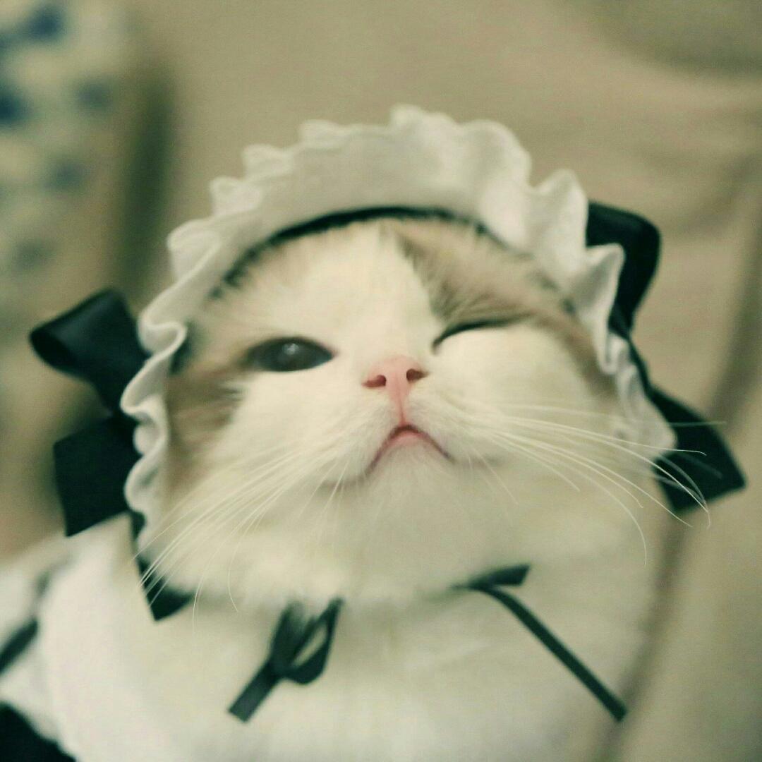 何祀