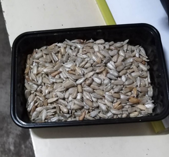 巧剥葵花籽仁的做法步骤图 怎么做好吃 默默守护无油素食 下厨房 巧剥葵花籽仁的做法步骤图 怎么做好吃 默默守护无油素食 下厨房