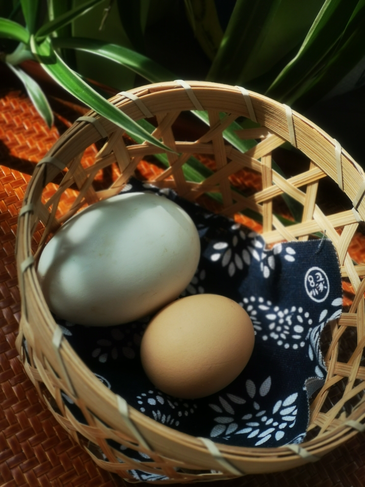 蛋🥚有五层~煎鹅蛋的做法