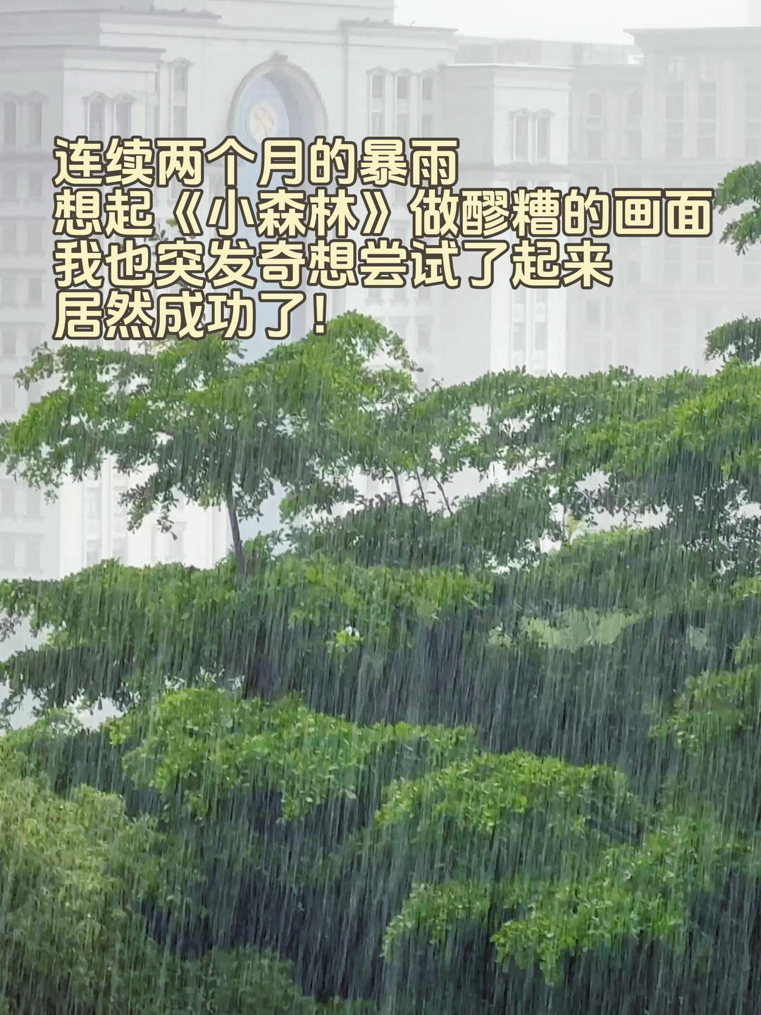 酒酿 (酒酿系列一）