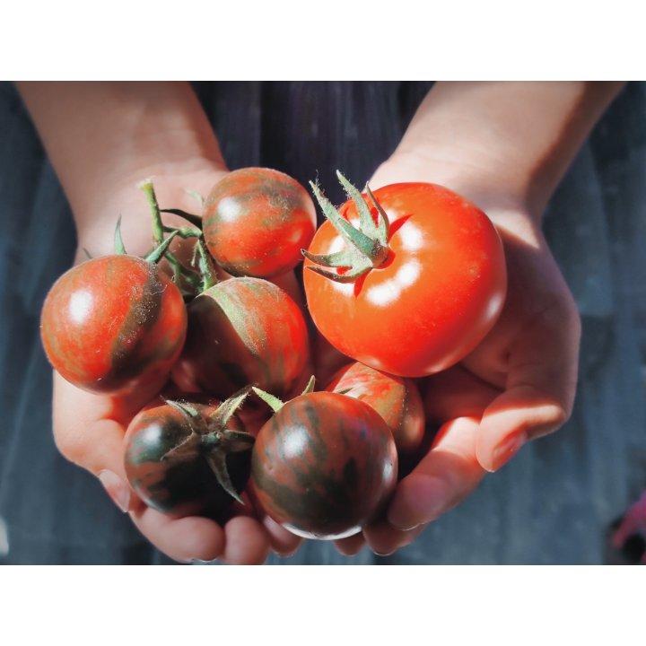 瓜果蔬菜养成记