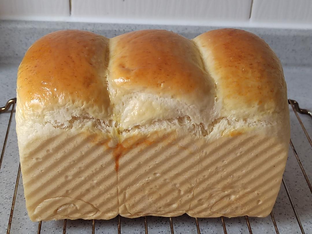 北海道牛奶吐司（100%冷藏中种法）