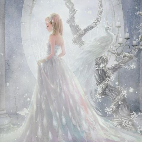 黧慕曦荠的厨房