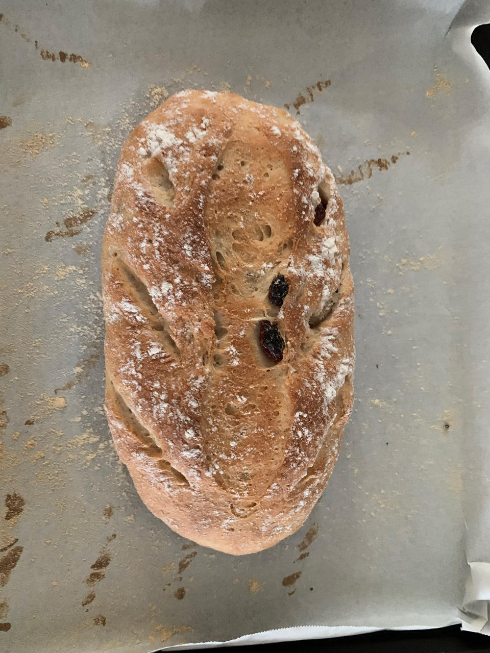 全麦核桃蔓越莓欧包（附整形详细手法）