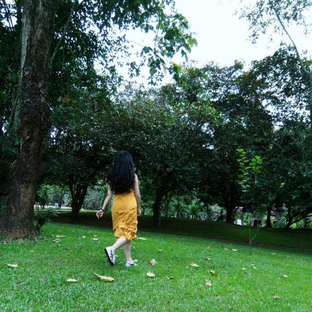 晚安不晚