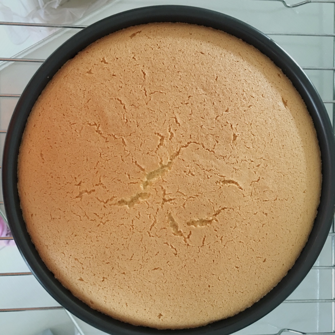 八寸戚风蛋糕（生日蛋糕坯）附六寸配单