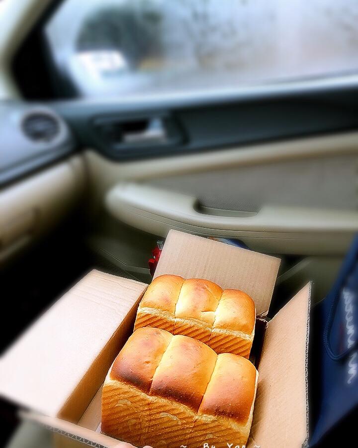 港式吐司～中种