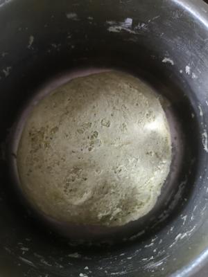 抹茶软欧（蜜豆奶酪馅、烫种）的做法 步骤2
