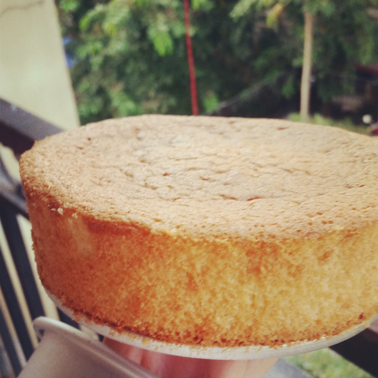 戚风蛋糕八寸（君之博客版）