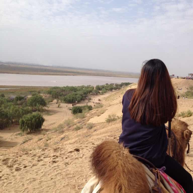 lesleyU