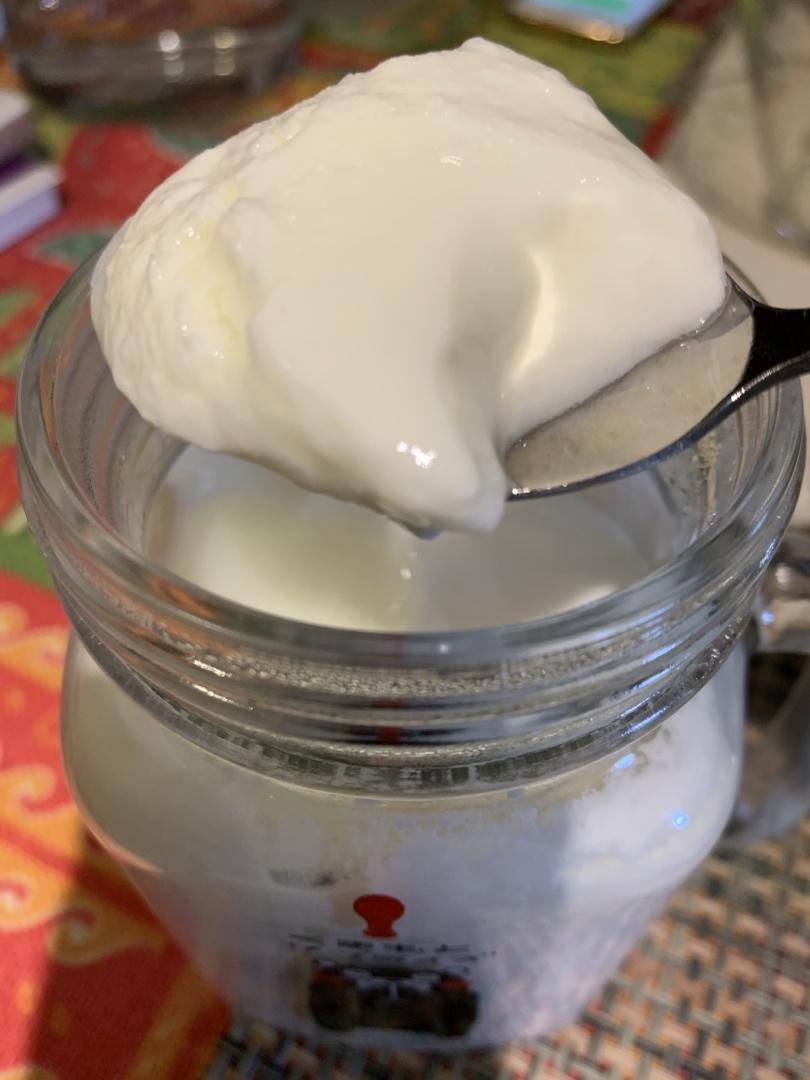 自制酸奶(原味酸奶)