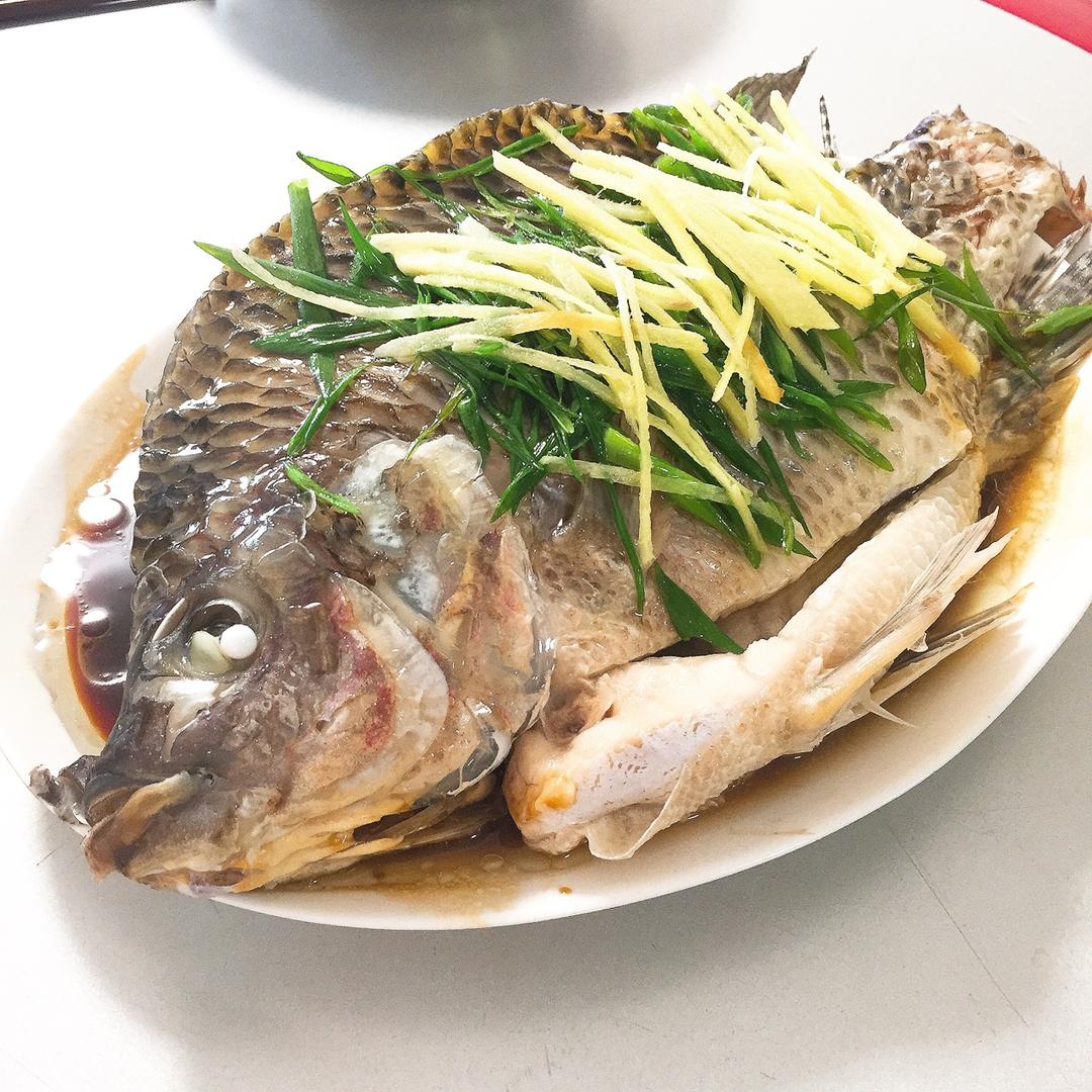 粤式清蒸罗非鱼