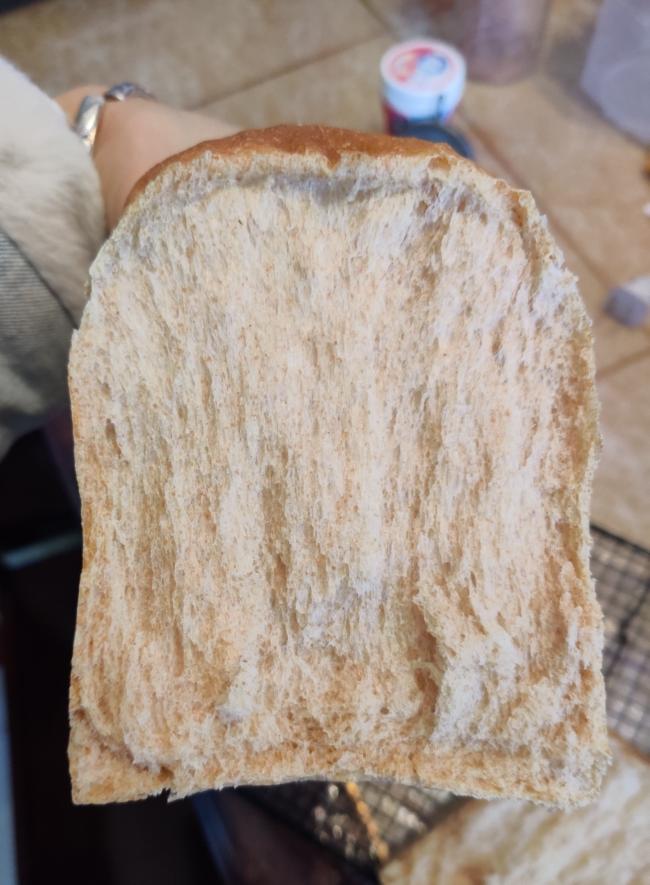 无糖无油全麦土司的做法