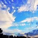 小笼包泡菜妹回家做饭