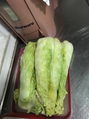 自制韩式辣白菜的做法 步骤8
