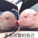 迪_q5ng