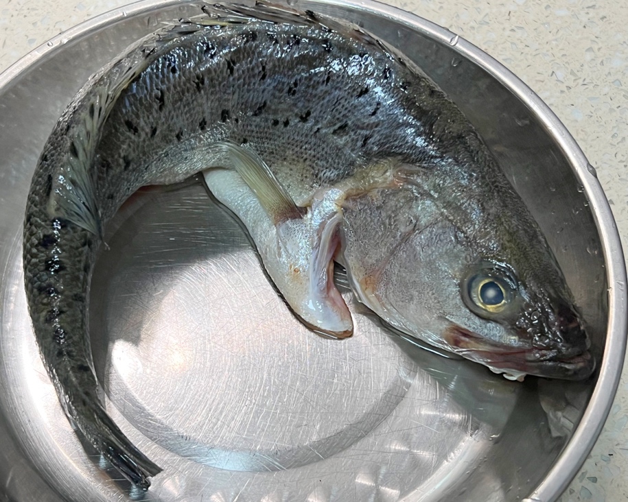 雷州味～鱼露海鱼汤的做法 步骤1
