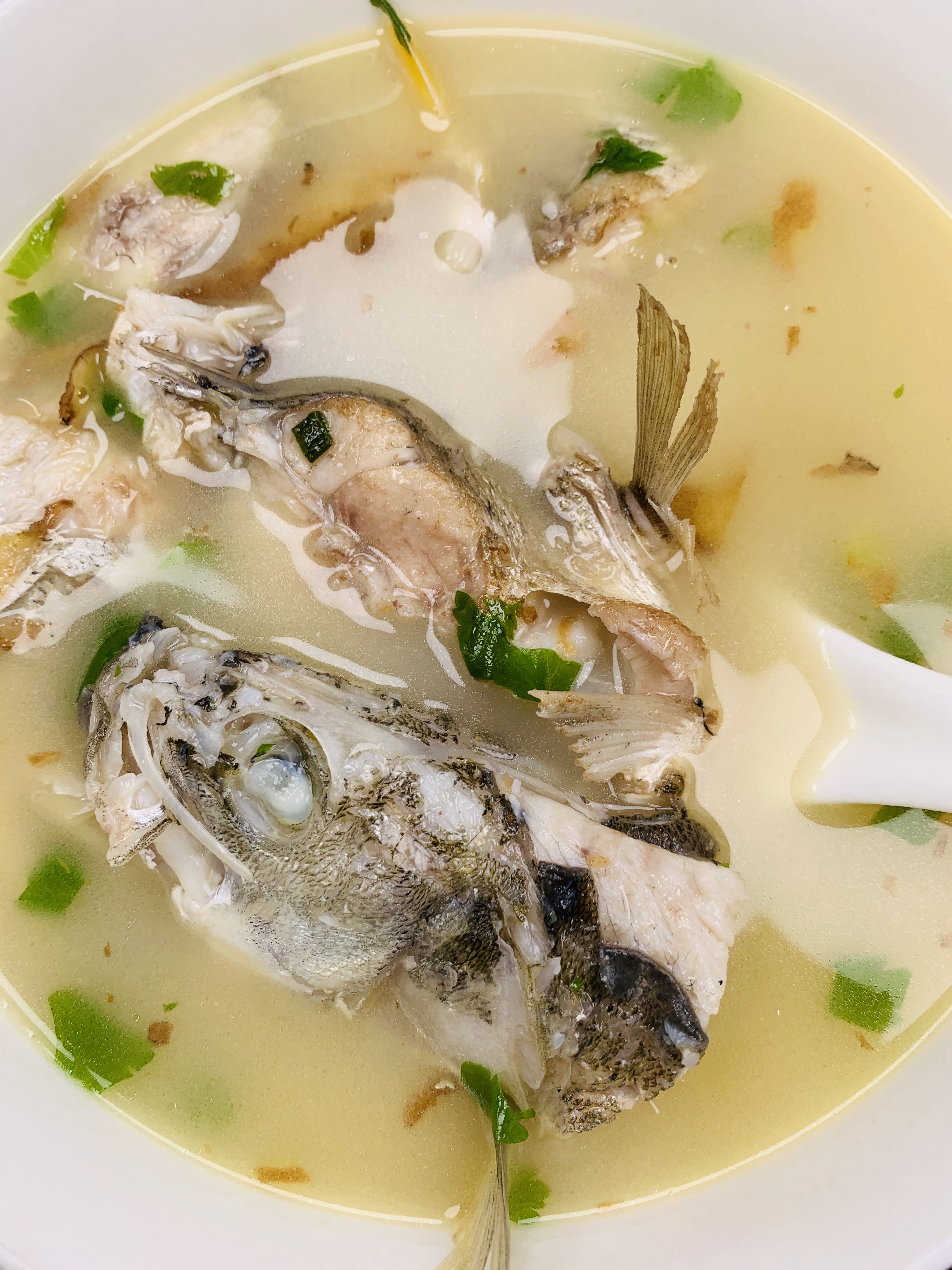 高优质蛋白鲜美鲈鱼汤的做法 步骤16