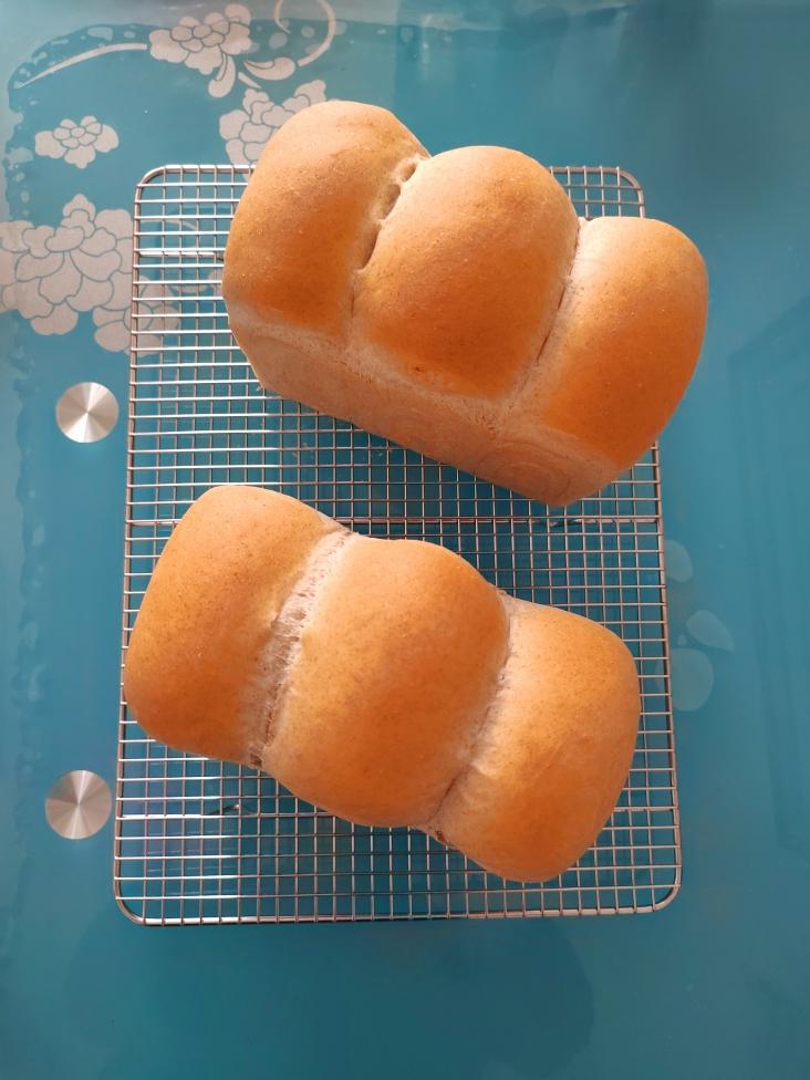 全麦吐司（50%全麦）