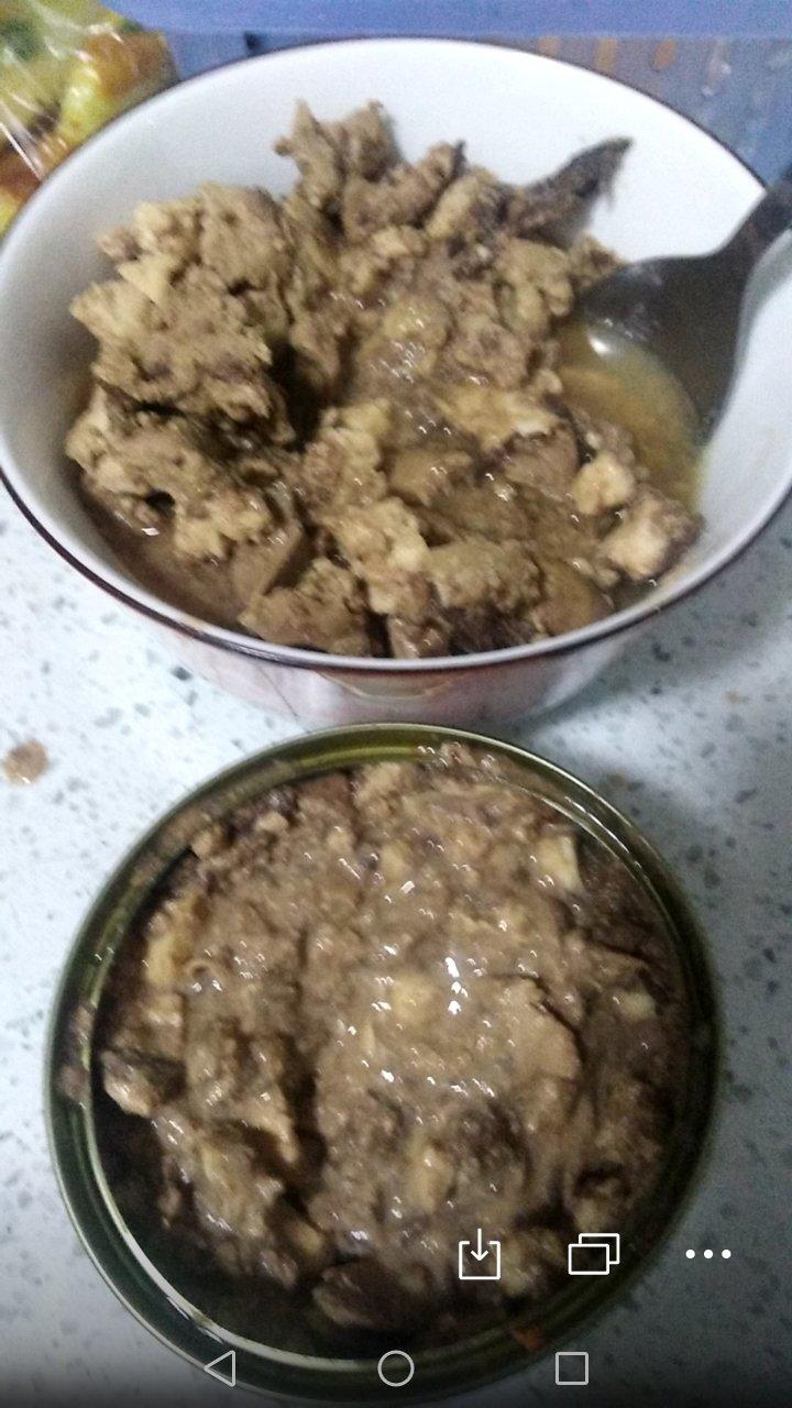 喵星人的猫饭