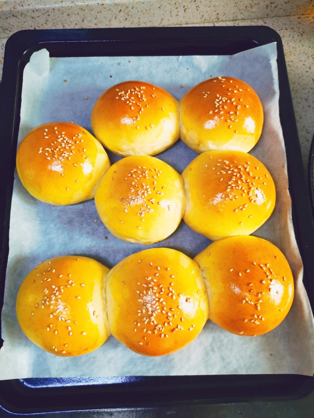 牛奶肉松小餐包（一次发酵）