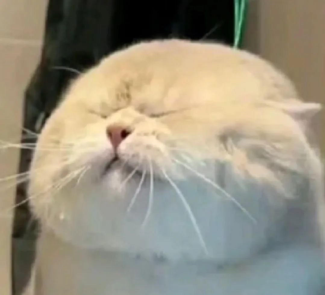 盘丝豆