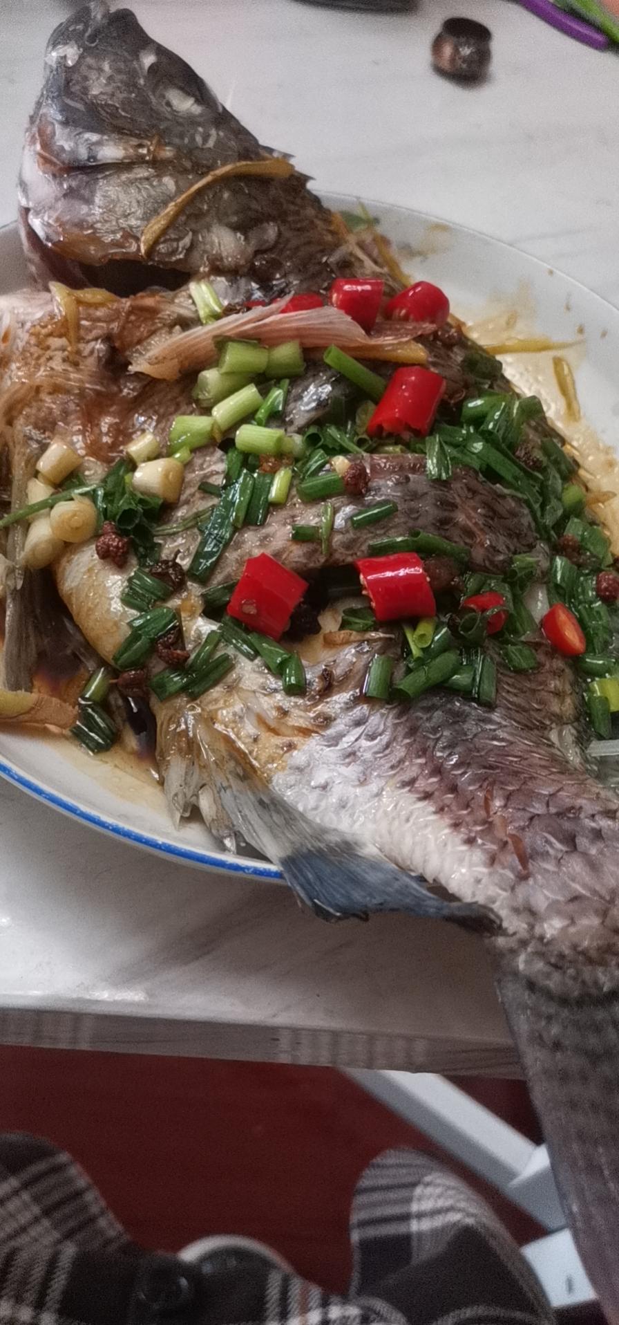 清蒸罗非鱼