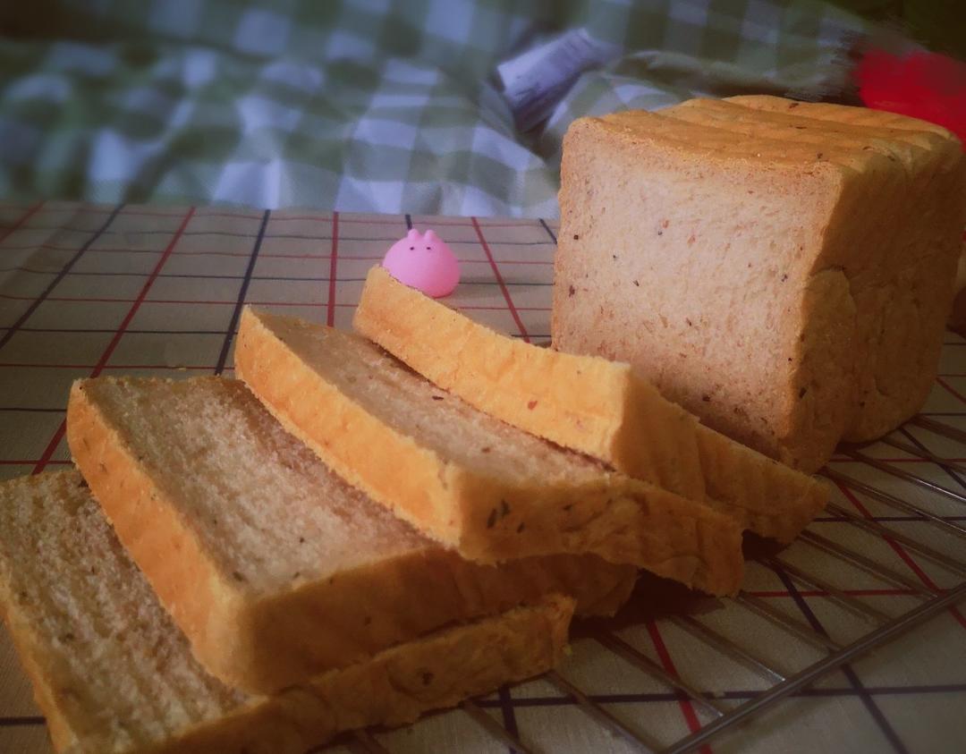 Toast notebook我的吐司小本本