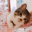 手机用户1851_1y9b