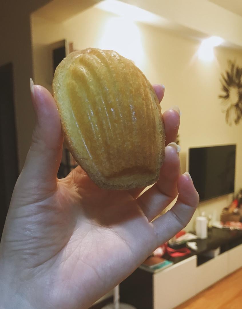 《Tinrry+》柠檬玛德琳