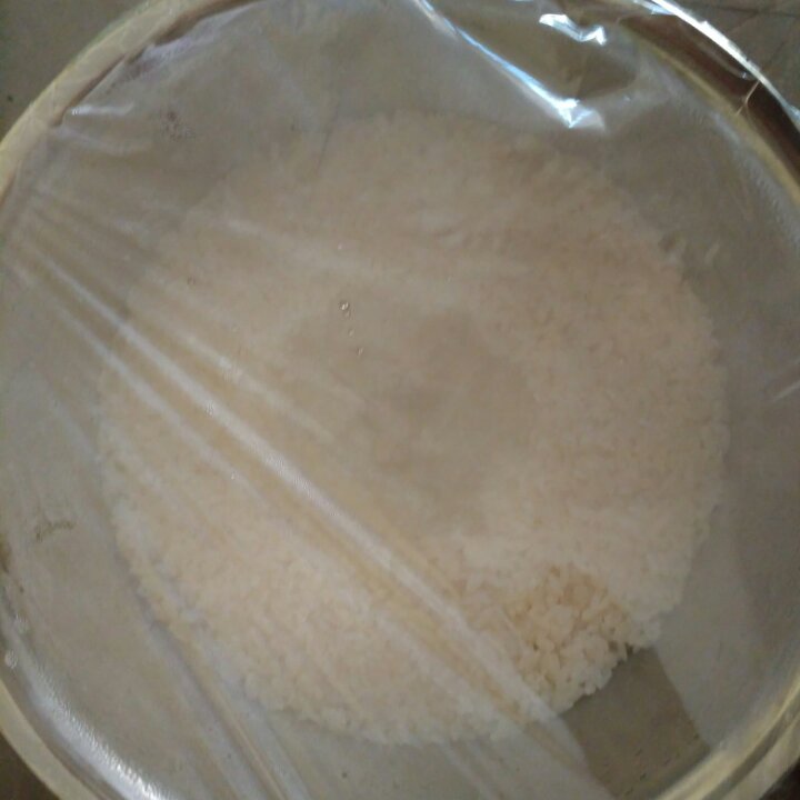 酒酿 (酒酿系列一）