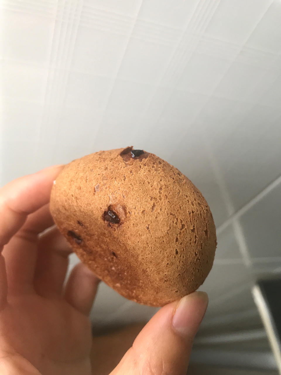 恐龙蛋·麻薯面包·麻薯包 自己做了1000➕的私人配方