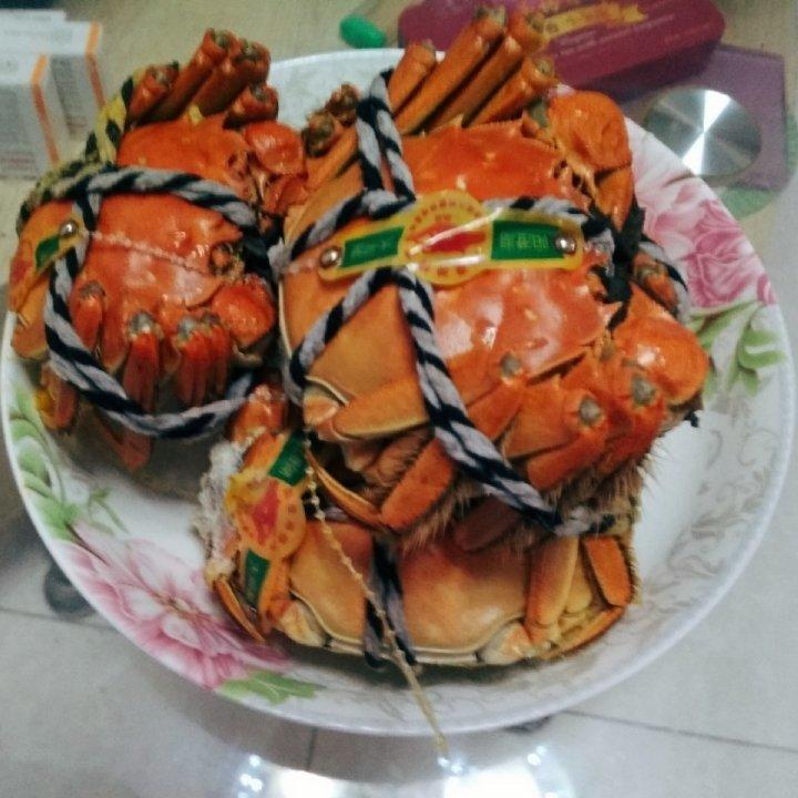 清蒸大闸蟹